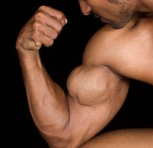 Bicep muscle