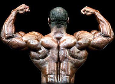 Large Latissimus Dorsi Muscles Huge lats